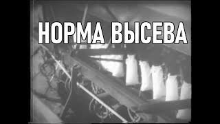 Норма высева