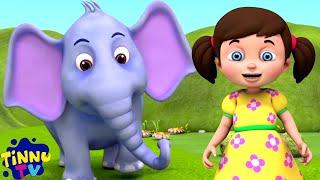 Hathi Raja, Chidiya Rani, Hindi Nursery Rhyme for Kids By Tinnu Tv