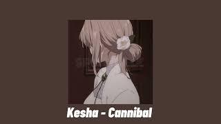 Kesha - Cannibal (speed up)