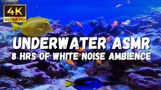 4K Underwater asmr Sounds: Soothing Sounds of White Noise Ambience for Sleeping