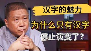 爲什麽只有漢字停止演變了？漢字是最高級的語言？日本人以會漢語為榮？#觀復嘟嘟 #馬未都 #圆桌派