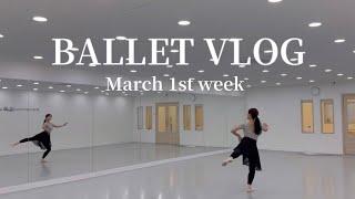 [Ballet] 발레브이로그 | 취미발레 | 발레작품 | 발레레슨 | 베스탈카 | 일상 브이로그