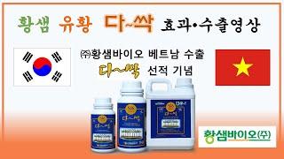 유황비료 황샘바이오(주) 다싹 사용 효과 효능 농가 성공 사례 및 베트남 수출 선적 영상