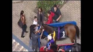 License To Steal (Race Horse) - Sunshine Coast 09/05/09 2nd Win