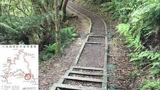 小溪頭環狀步道 大崙頭山