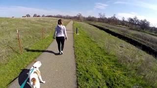 Beale AFB, CA Nature Trail Hike