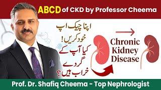 ABCD of CKD by Professor Cheema | Diagnose Kidney Disease by Yourself