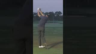 Adam Scott Iron Swing #golfswing #golf #golftips #golfer #golfswingbasics