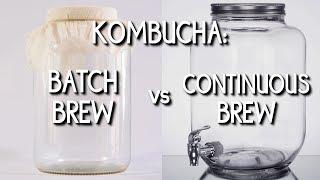 Kombucha: Batch Brew vs. Continuous Brew