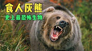 The horrible grizzly bear attack incident丨The man escaped from the grizzly bear's mouth