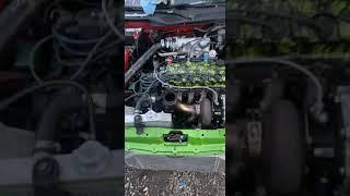 Kdubs 3xxhp single cam beast