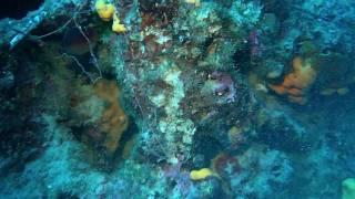 Diving in Halkidiki-Greece