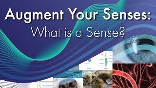 Augment Your Senses: What is a Sense?