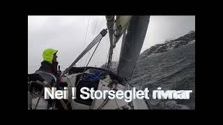 Regatta Isbjørnen 2023 ombord i X-faktor