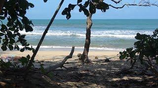 Costa Rica: Tortuguero & Cahuita Nationalparks