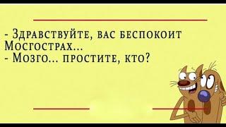 Приколы! Юмор! Шутки! Позитив!Анекдоты—Свежие, Короткие/Юмор дня/