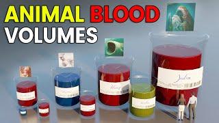 3D Animal Blood Volume Comparison | Bloop Vs Julia