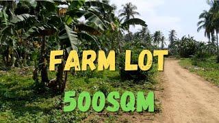 Farm Lot 500sqm