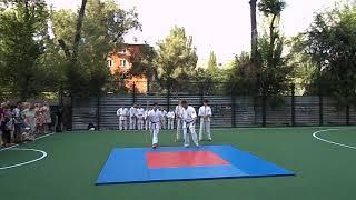 Показательное выступление июль, 2018