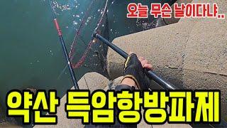 감성돔 개체수는 엄청나다! 약산 득암항방파제 [EP.1]