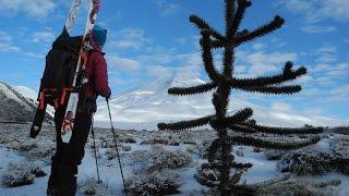 Fire & Ice: Skiing volcanoes along the Pacific Ring of Fire