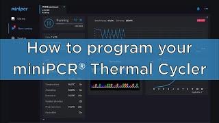 How to program your miniPCR®️ Thermal Cycler