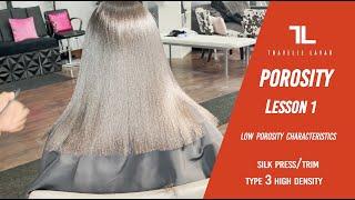 ️ Porosity Lesson 1 - Detailed Silk Press on Low Porosity Hair