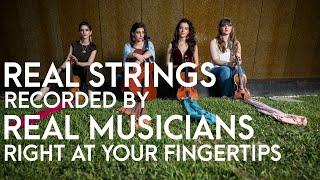 FREE String Quartet Sample Library Played by REAL MUSICIANS 