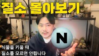 식물 영양  1등 원소 질소 통합본 / 숙면 꿀잠 영상 ASMR