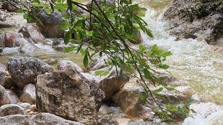 Die Aschauer Klamm: ein Kleinod in Bayern