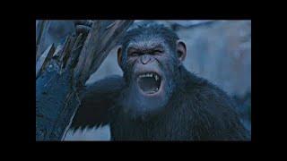 "Leave Him!" Scene | War for the Planet of the Apes (2017)#LOWI