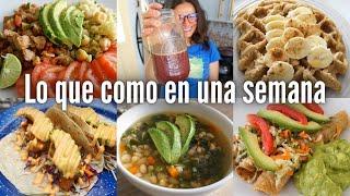 LO QUE COMO EN UNA SEMANA vegano sabrosón | VIDA VEGANA