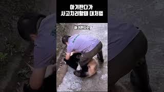 아기판다 치산메이가 사고치려 합니다.