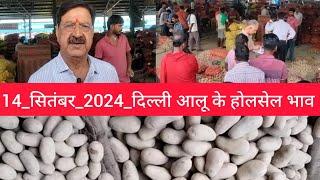 September 14, 2024 दिल्ली  आलू के भाव Azadpur Delhi mandi today Potato Market #delhipotatomarket