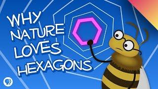 Why Nature Loves Hexagons