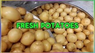 Fresh Potatoes/ASMR/)Precious M Vlog