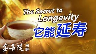 Drink a Cup Every Day and Gain Health, Longevity, and Wisdom! | The Secret to Longevity