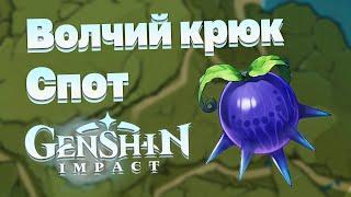 Где найти ягоду Волчий Крюк в Genshin Impact