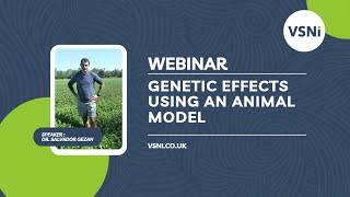 Partitioning Additive, Dominance & Epistatic Genetic Effects Using an Animal Model - VSNi Webinar