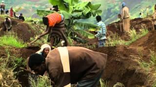 Women farmers increasing productivity of farms. Ethiopia—thinkEQUAL