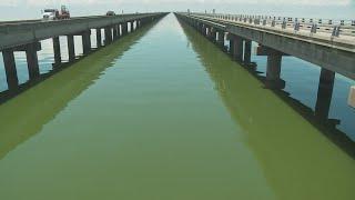 Louisiana Department of Health urging to avoid parts of Lake Pontchartrain after algal bloom