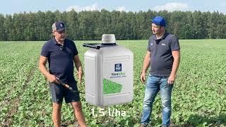 Rapsų mityba ir pasiruošimas žiemai/žieminių miežių sėja/NAUJIENA-YaraVita SEEDLIFT!