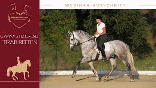  Trainingstipp gymnastizierendes Trab Reiten - Webinarausschnitt