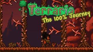 Terraria | The Completionist Playthrough