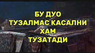 БУ ДУО ТУЗАЛМАС КАСАЛЛАРНИ ХАМ ТУЗАТАДИ