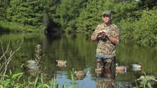 Hunting Tips: Blue-winged teal tactics