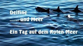Hurghada / Ägypten , Ein Tag auf dem Roten Meer , Delfine und Meer ,unbeschreiblich 
