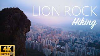 Hiking Lion Rock in Hong Kong 4K (2024)