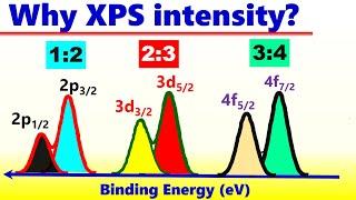 Why p- orbital, d-orbital, and f-orbitals have intensity ratios of 1:2, 2:3, and 3:4 in XPS Spectra