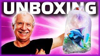 EXPERTE packt SELTENE FISCHE aus! RARE FISH UNBOXING